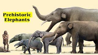 The 20 Different Types Of Prehistoric Elephants