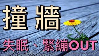 醫療太極：【千年秘法】失眠、緊繃OUT！撞牆功法「震+牽引」雙效合一，深層血管全激活！ ️ 沒師父指導反傷身 #health