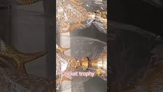 CRICKET TROPHY FOR TOURNAMENT #trophy #worldcup #trophies #cricket #medal #thane #ipl #testseries