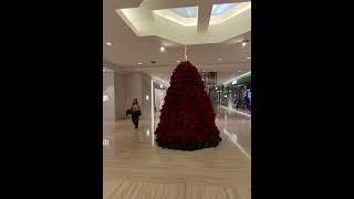 Luxury mall South Coast Plaza during the holidays in Costa Mesa,California 11.30.24