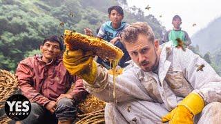 Hunting Nepal’s Mad Honey That Makes You Hallucinate - HONEY HUNTERS