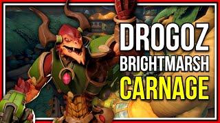 This is Why I LOVE Drogoz on Brightmarsh! - Paladins Drogoz Gameplay