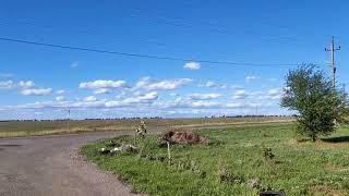 The fields for sunflower in the outskirts of Odessa Ukraine
