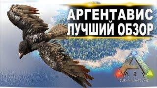 Аргентавис (Argentavis) в АРК. Лучший обзор: приручение, разведение и способности в ark