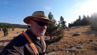 BLUE GROUSE  Hunting in the Mountains. Please Subscribe at end screen.