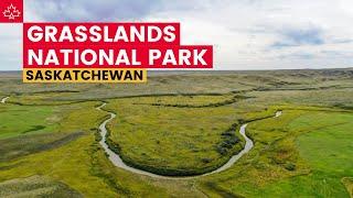 Saskatchewan Travel Guide: GRASSLANDS NATIONAL PARK (Canada)