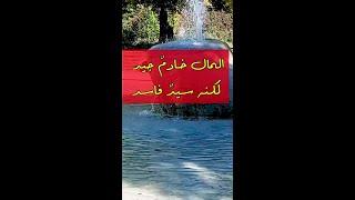 كلما ازددت علما ازددت علما بجهلي   اقوال عالمية تغير تفكيرك