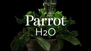 Parrot H20 - Smart Plant Sensor - CES 2015 Preview