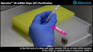 Spiraltor™ 48 mRNA Oligo (dT) purification