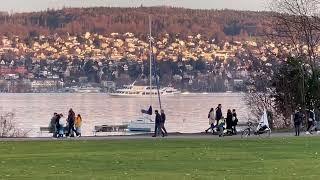 Lake Zurich (Zürichsee) 2023 Wollishofen