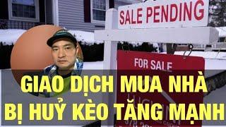 Housing | Hơn 41 Ngàn Hợp Đồng Mua Nhà Bị Hủy? Người Mua Cần làm Gì?