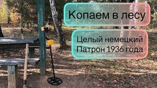 Нашел то что может взорваться.  Коп металоискателем в Лесу.