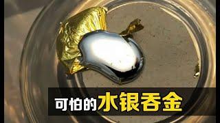 水银，黄金的天生克星，把汞滴到金箔上，有趣的现象发生了！