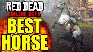 BEST HORSE RED DEAD ONLINE! Best Horses Comparison Red Dead Online! (Best Horse Red Dead Online)