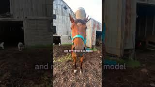 AHHH SHES TO CUTE🫶/SECRET/ #equestrianjourney #horseenthusiast #horse #horsefan #edit