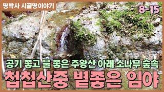 (8-15) 해발600고지에 북쪽으로 주왕산을 내려다 보는 그림같은 풍광에 완경사지 임야