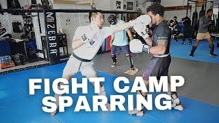 Fight Camp Sparring Brazilian Pro MMA Fighter