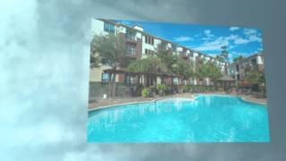 Piney Point Apartments near Houston Galleria District