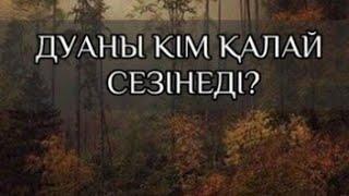 ДУАНЫ ҚАЙТАРУ:  ДУАНЫ КІМ, ҚАЛАЙ СЕЗІНЕДІ?  ТАЗАРУ ҚАЛАЙ ЖҮРЕДІ? ДЕМ ҚАНША УАҚЫТ САЛЫНАДЫ