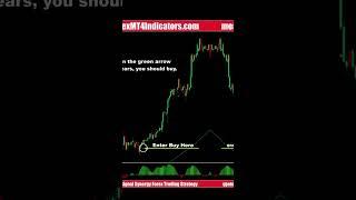 Multi Signal Synergy Forex Trading Strategy