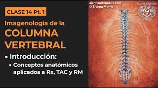 14.1 -  Imagenología de la columna vertebral: Conceptos anatómicos aplicados a métodos de imagen