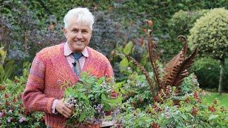 Get Gardening: Chucking and cutting