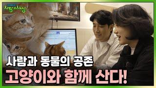 사람과 동물이 공존하는 이곳, 우리는 고양이와 함께 산다! | KBS 241212 방송