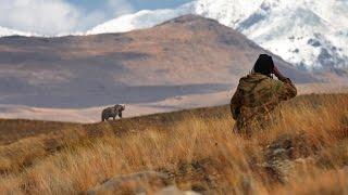 Deosai National Park - Home of The Himalayan brown bears