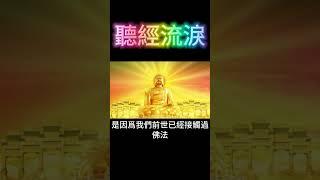 聽經流淚：前世因緣 #開悟 #覺醒