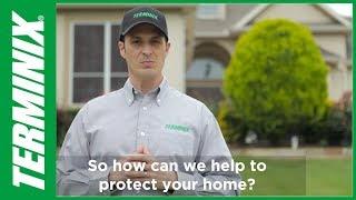 Why Choose Terminix for Pest Control