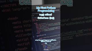 Python Interpreter Method | Interactive Mode | Script Mode | පයිතන් වලින් ප්‍රෝග්‍රෑම් ලියන හැටි