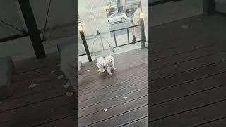 백지의 소소한 일상 은혜찬양선교