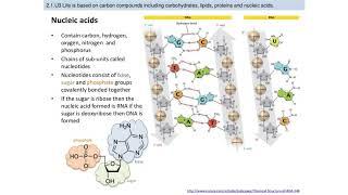 IB Biology: 2.1 Molecules to Metabolism