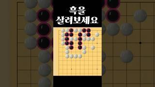 쉬운 바둑 사활 - 묘수는 꼭 보셔야  합니다