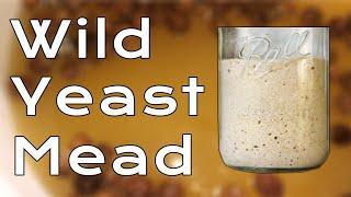 How to Make a Wild Yeast Mead