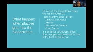 Adult Med/Surg: Diabetes NEW Lecture Part 1: Intro to Diabetes (Type 1 vs Type 2)