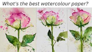 Watercolour Paper - Tested & Explained // For Beginners