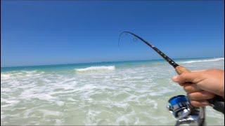 SURF FISHING BEAUTIFUL ANNA MARIA ISLAND!