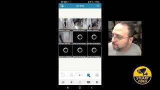 NVMS7000 Mobile APP. Setup Guide To Connect to LTS NVR,  (With IP/Domain)