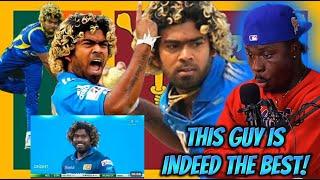 AMERICAN REACT TO LASITH MALINGA BEST BOWLING FOR THE FIRST TIME HE MAKES CRICKET FUN