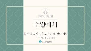 [예수님처럼 예닮교회] 2025년 6월 1일  주일예배 / 다니엘 3장 13~18절 / 풀무불 속에서야 보이는 네 번째 사람