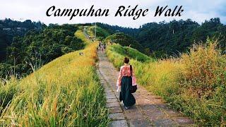 Campuhan Ridge Walk | Bali Attractions