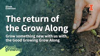 The return of the Grow Along | #GoodGrowing