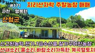 [지리산자락해발500고지주말농장매매]잘가꾸어진 신고된농막있는청정지역주말농장매물입니다#주말농장매매#지리산자락토지#시천면토지매매#시천면계곡토지#내대리계곡토지매매#산청토지#행복한부동산