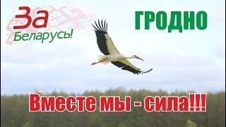 Прямая трансляция пользователя Web-navi TV