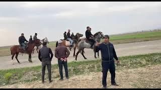 Yorağa Atlar Azərbaycan birinciliyi 1600 m. Şimşək. SarıAt. Peqas