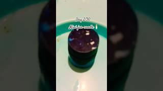 day 2 of 30 day candle making series #love #photography #candle #candlemaking #viralvideo #diy #meta
