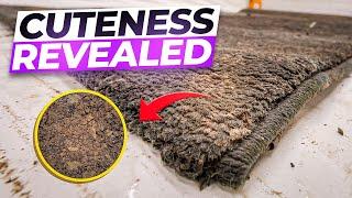 Shocking Amount of Dirt Hidden in a Cute Kids Rug! | Satisfying ASMR Clean