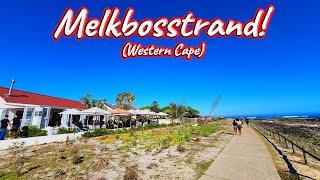 S1 – Ep 501 – Melkbosstrand, Western Cape!