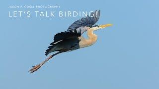 Talking Bird Photography with Jason P. Odell